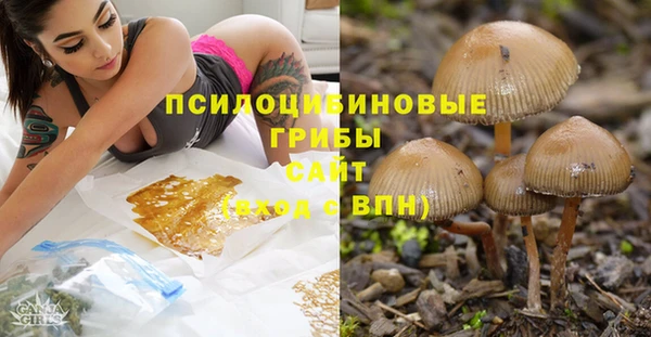 2c-b Осинники