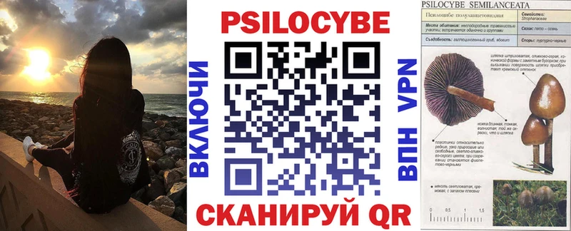 Псилоцибиновые грибы Psilocybe Бабаево