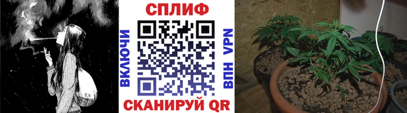 купить цена Бабаево Бошки марихуана VHQ